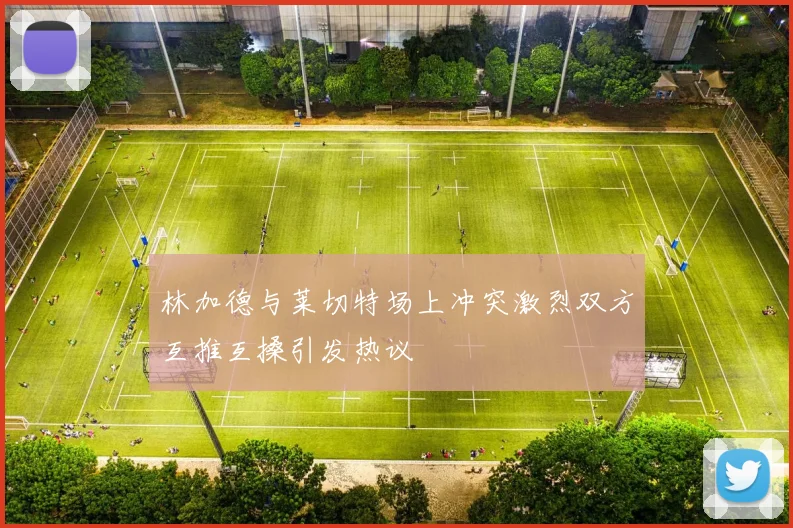 林加德与莱切特场上冲突激烈双方互推互搡引发热议