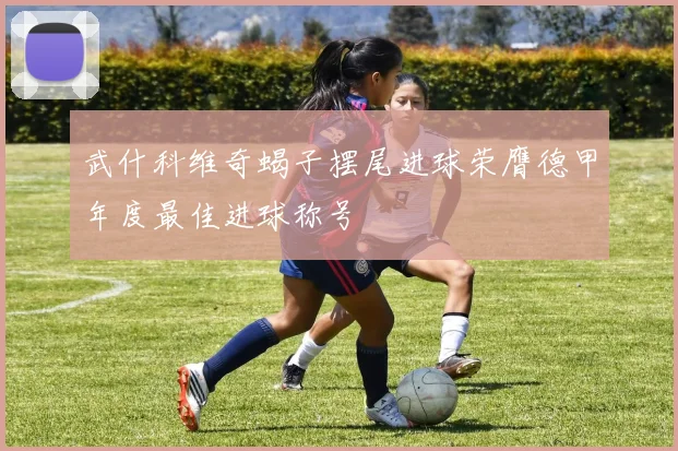武什科维奇蝎子摆尾进球荣膺德甲年度最佳进球称号